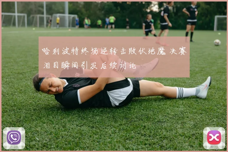 哈利波特终场逆转击败伏地魔 决赛泪目瞬间引发后续讨论