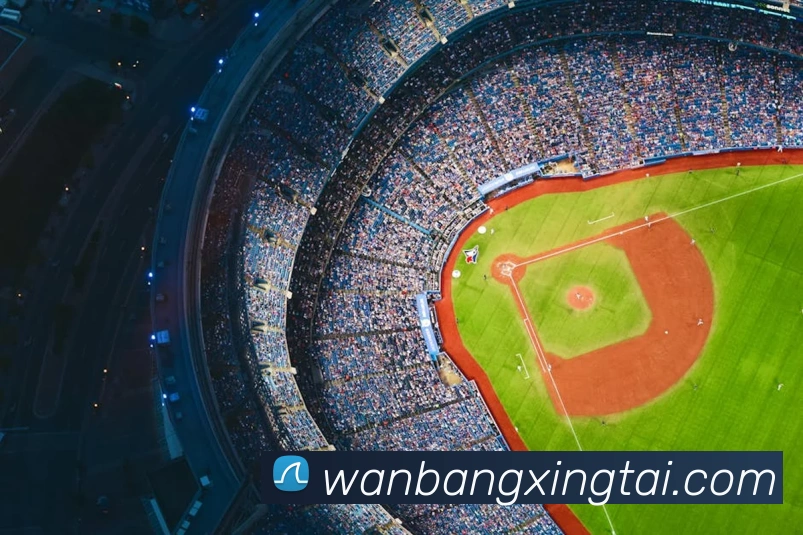 博鱼首页官网平台生态图